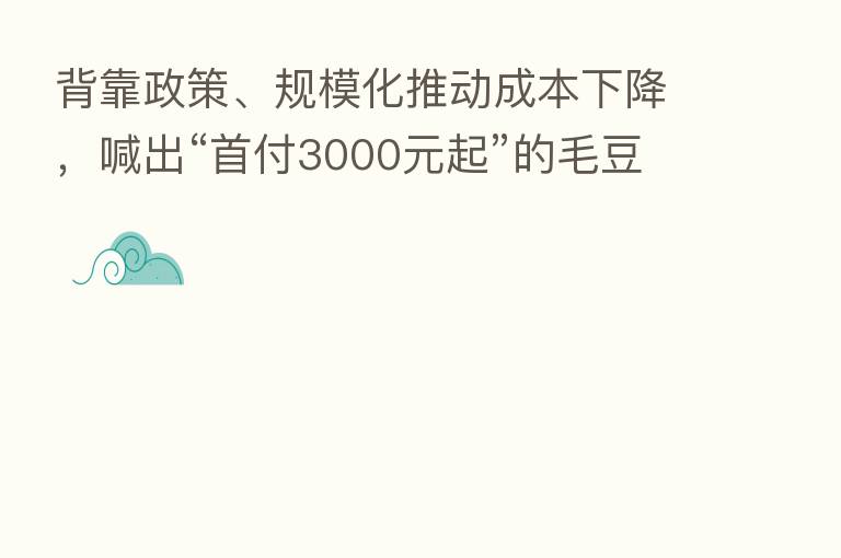 背靠政策、规模化推动成本下降,喊出“首付3000元起”的毛豆新车,价格实现新低!