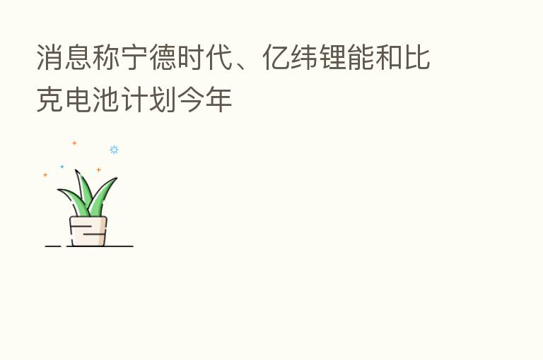 消息称宁德时代、亿纬锂能和比克电池计划今年