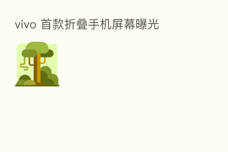 vivo 首款折叠手机屏幕曝光