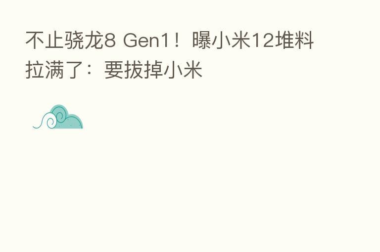 不止骁龙8 Gen1!曝小米12堆料拉满了:要拔掉小米