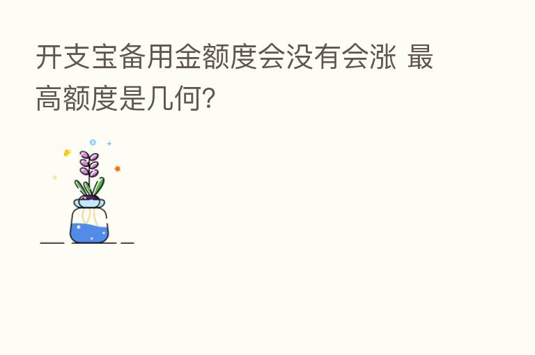 开支宝备用金额度会没有会涨 高额度是几何?