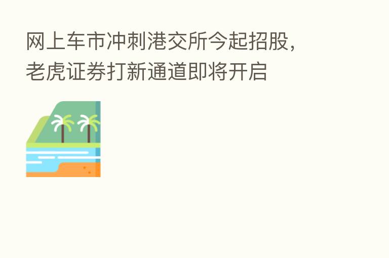 网上车市冲刺港交所今起招股,老虎证券打新通道即将开启