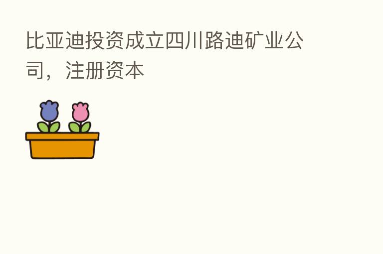 比亚迪投资成立四川路迪矿业公司,注册资本