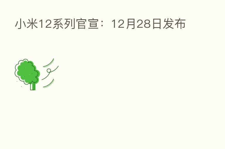 小米12系列官宣:12月28日发布