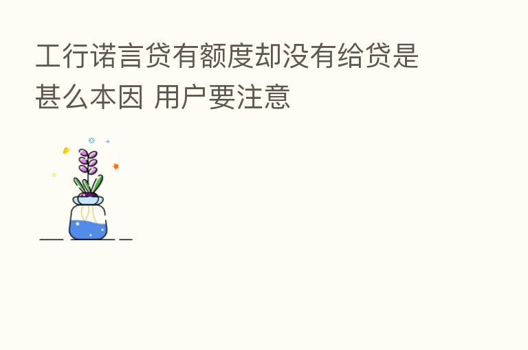 工行诺言贷有额度却没有给贷是甚么本因 用户要注意