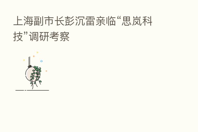 上海副市长彭沉雷亲临“思岚科技”调研考察