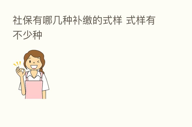 社保有哪几种补缴的式样 式样有不少种