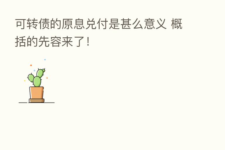 可转债的原息兑付是甚么意义 概括的先容来了!