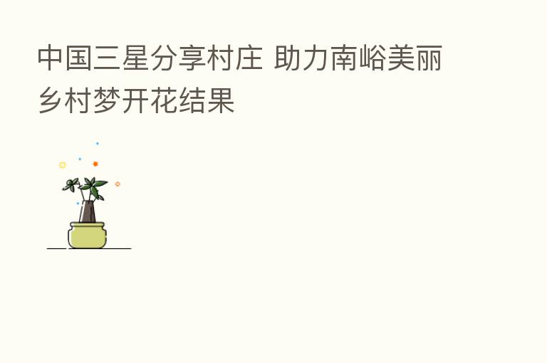 中国三星      村庄 助力南峪美丽乡村梦开花结果