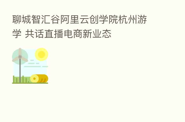 聊城智汇谷阿里云创学院杭州游学 共话直播电商新业态