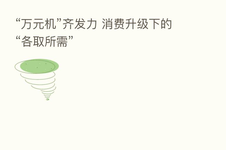 “万元机”齐发力 消费升级下的“各取所需”