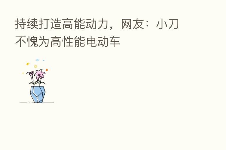 持续打造高能动力,网友:小刀不愧为高性能电动车