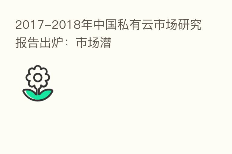 2017-2018年中国私有云市场研究报告出炉:市场潜