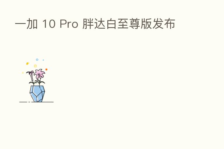 一加 10 Pro 胖达白至尊版发布