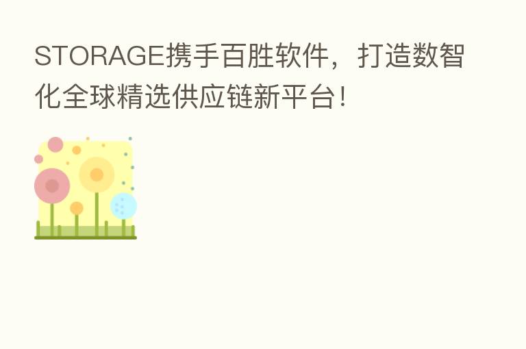 STORAGE携手百胜软件,打造数智化全球精选供应链新平台!