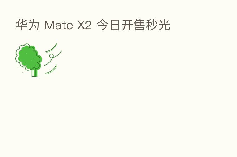 华为 Mate X2 今日开售秒光