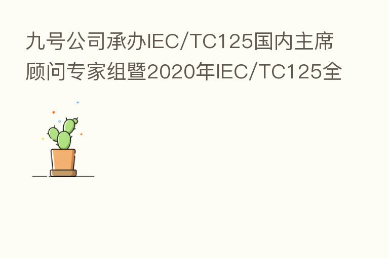 九号公司承办IEC/TC125国内主席顾问专家组暨2020年IEC/TC125全会行前会