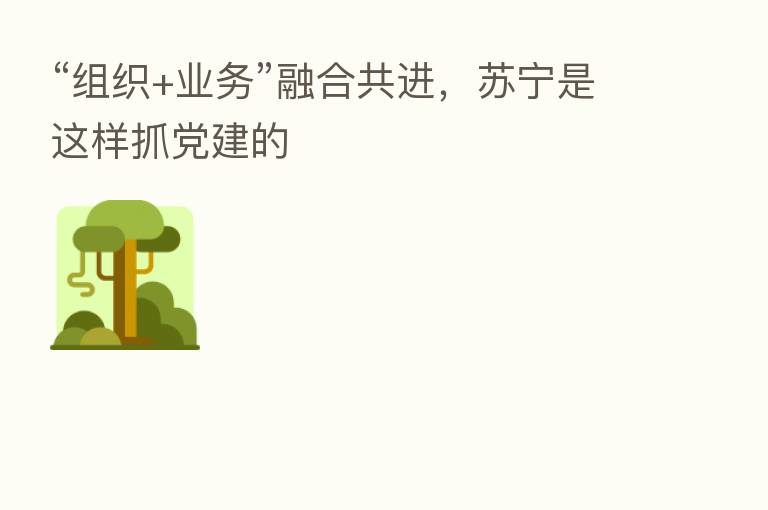 “组织+业务” 共进,苏宁是这样抓党建的