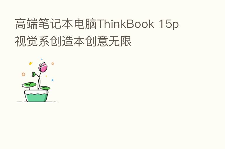 高端笔记本电脑ThinkBook 15p 视觉系创造本创意无限