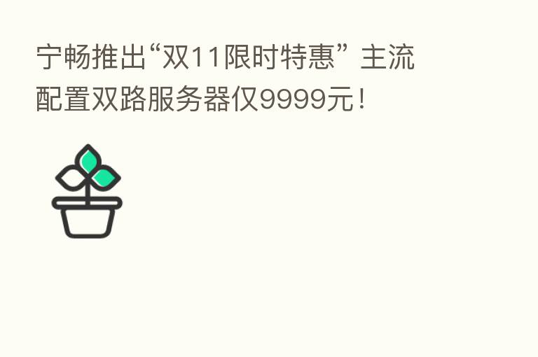 宁畅推出“双11限时特惠” 主流配置双路服务器仅9999元!