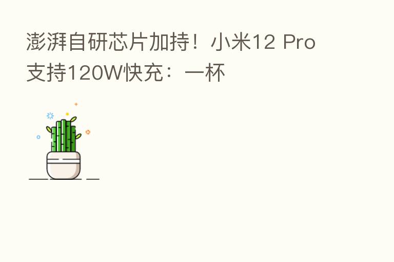 澎湃自研芯片加持!小米12 Pro支持120W快充:一杯