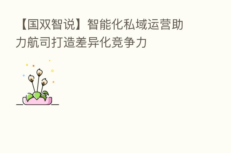 【国双智说】智能化私域运营助力航司打造差异化竞争力