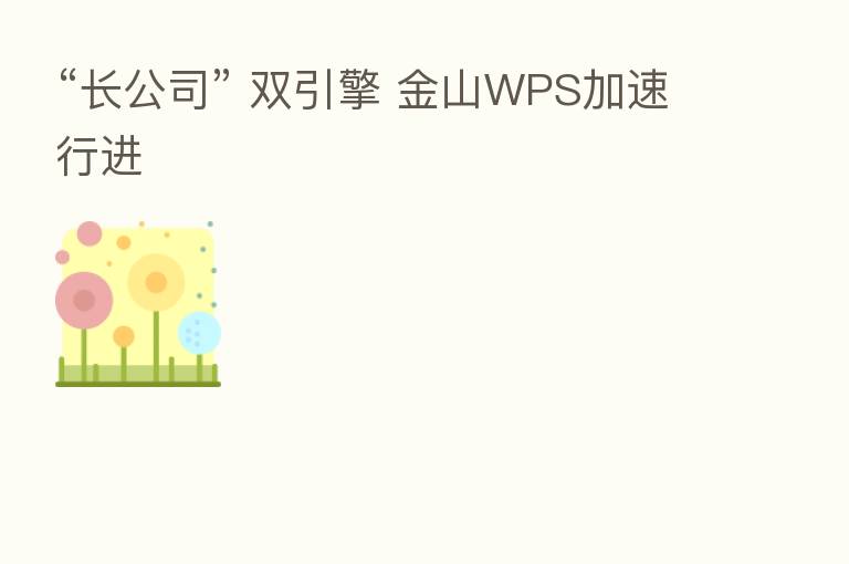 “长公司” 双引擎 金山WPS加速行进