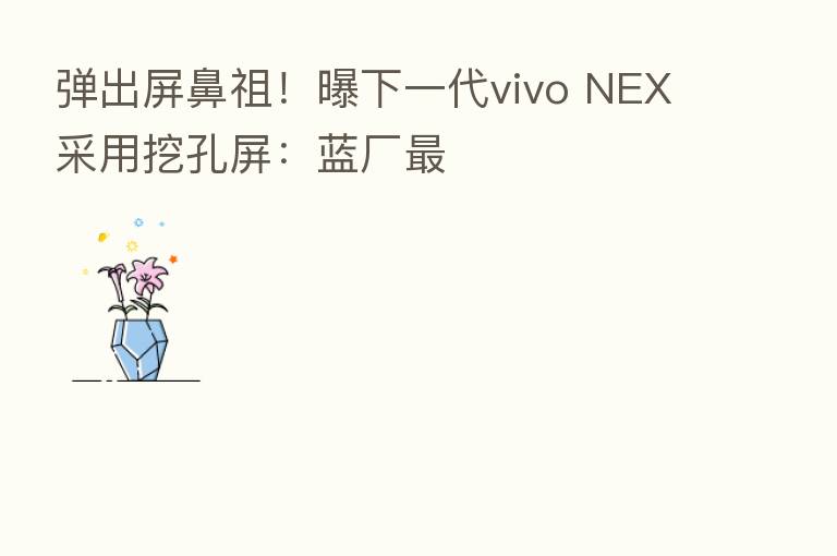 弹出屏鼻祖!曝下一代vivo NEX采用挖孔屏:蓝厂
