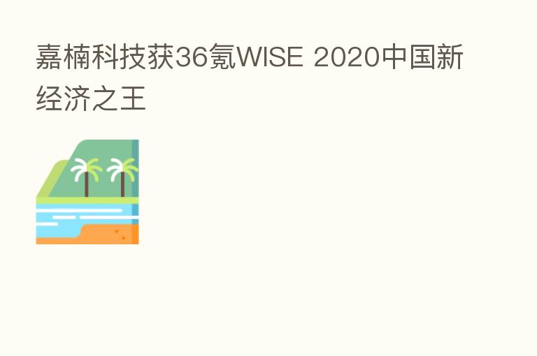 嘉楠科技获36氪WISE 2020中国新经济之王