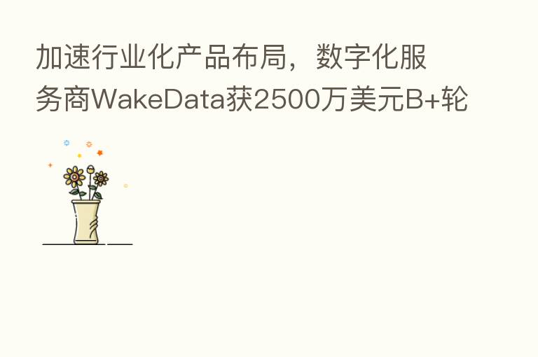 加速行业化产品布局,数字化服务商WakeData获2500万美元B+轮融资