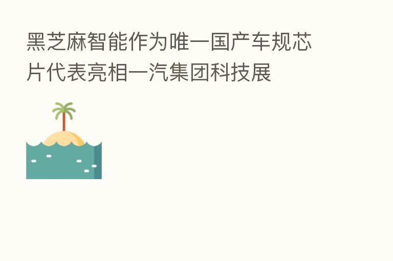 黑芝麻智能作为唯一国产车规芯片代表亮相一汽集团科技展