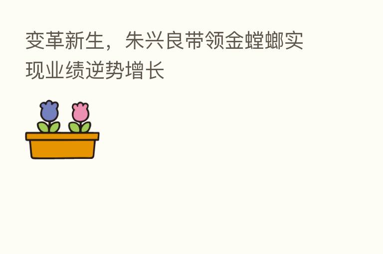 变革新生,朱兴良带领金螳螂实现业绩逆势增长