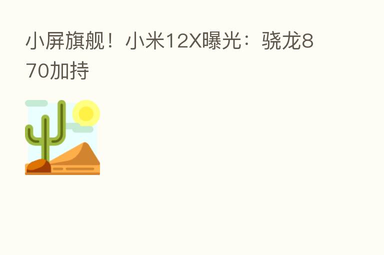 小屏旗舰!小米12X曝光:骁龙870加持