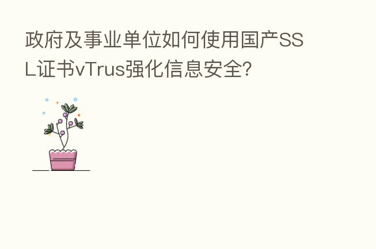 政府及事业单位如何使用国产SSL证书vTrus强化信息安全？