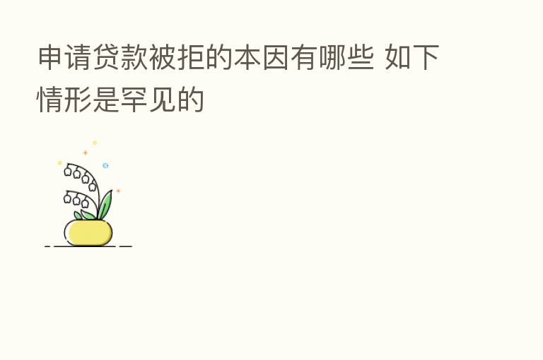申请贷款被拒的本因有哪些 如下情形是罕见的