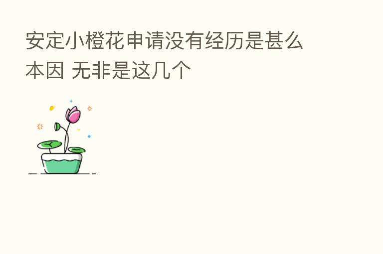 安定小橙花申请没有经历是甚么本因 无非是这几个