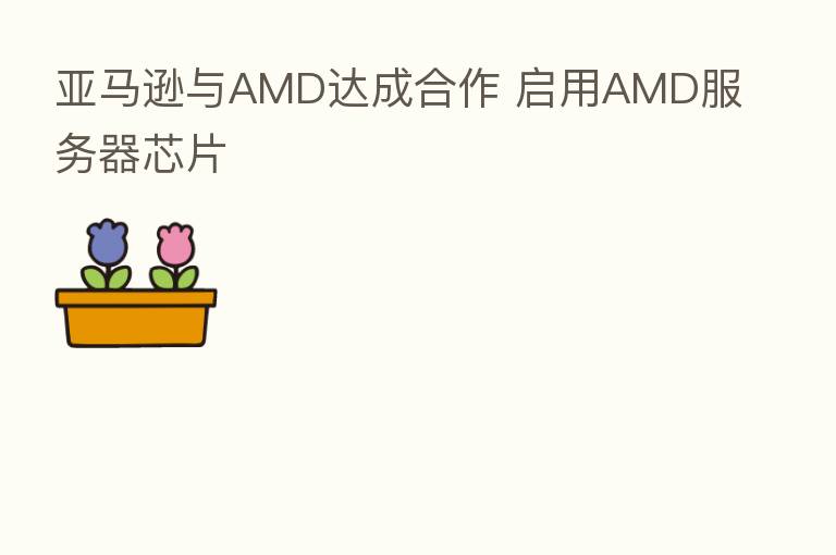 亚马逊与AMD达成合作 启用AMD服务器芯片