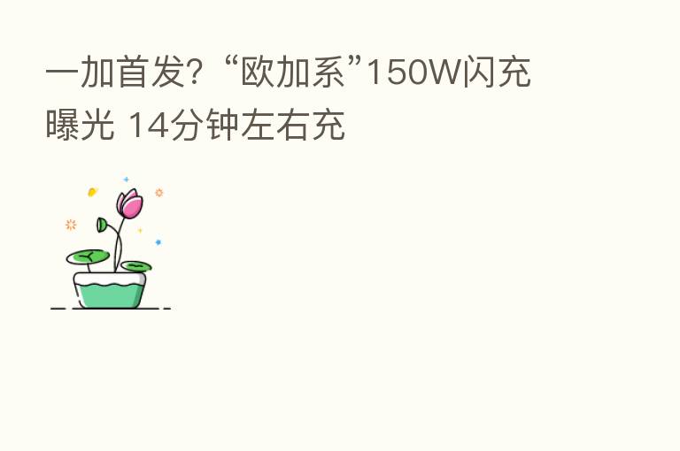一加首发?“欧加系”150W闪充曝光 14分钟左右充