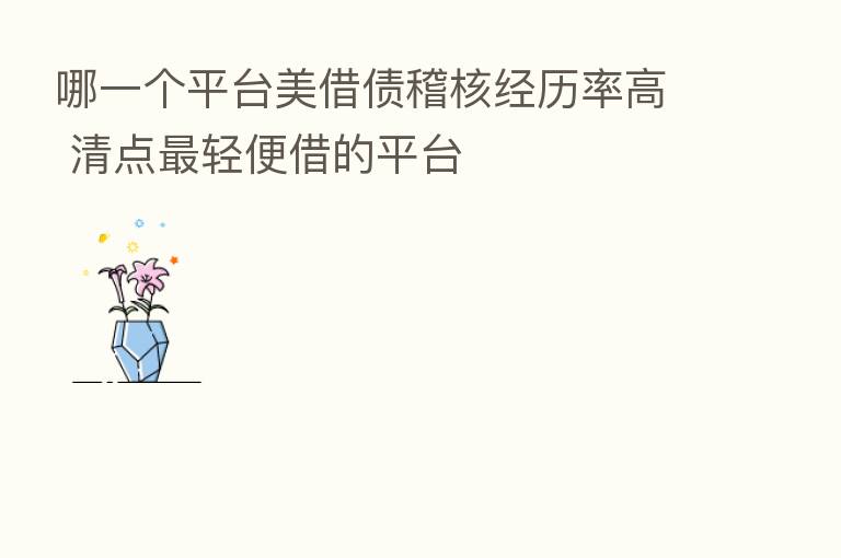 哪一个平台美借债稽核经历率高 清点   轻便借的平台