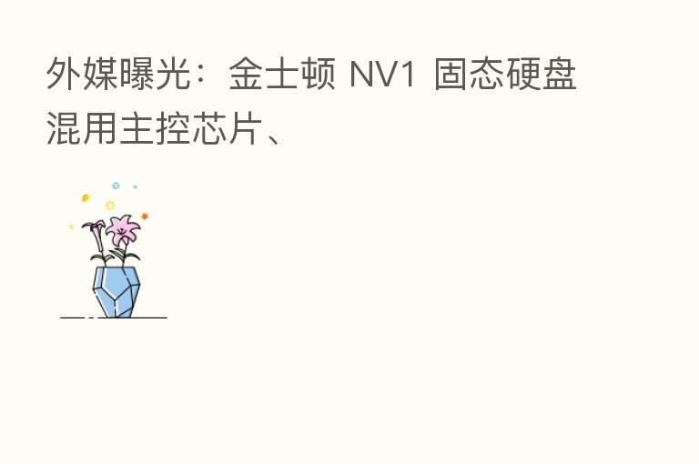 外媒曝光:金士顿 NV1 固态硬盘混用主控芯片、