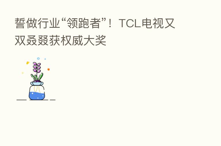 誓做行业“领跑者”!TCL电视又双叒叕获权威大奖