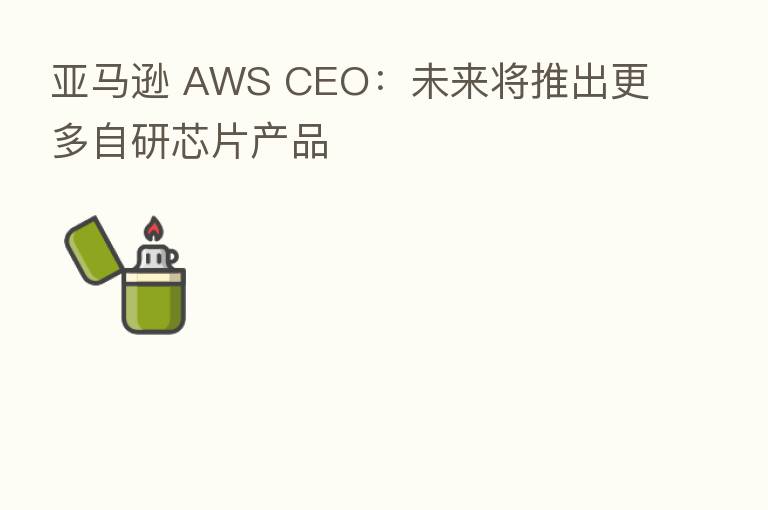 亚马逊 AWS CEO:未来将推出更多自研芯片产品