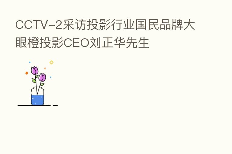 CCTV-2采访投影行业国民品牌大眼橙投影CEO刘正华先生