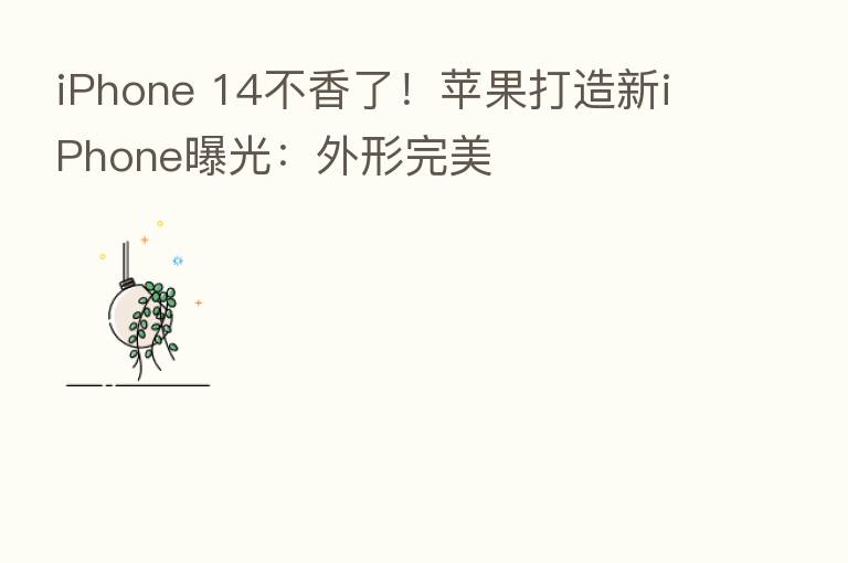 iPhone 14不香了!苹果打造新iPhone曝光:外形完美