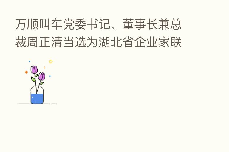 万顺叫车党委书记、董事长兼总裁周正清当选为湖北省企业家联合发展促进会执行会长