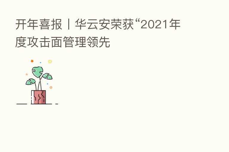 开年喜报丨华云安荣获“2021年度攻击面管理领先