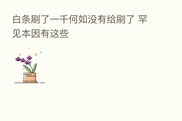 白条刷了一千何如没有给刷了 罕见本因有这些