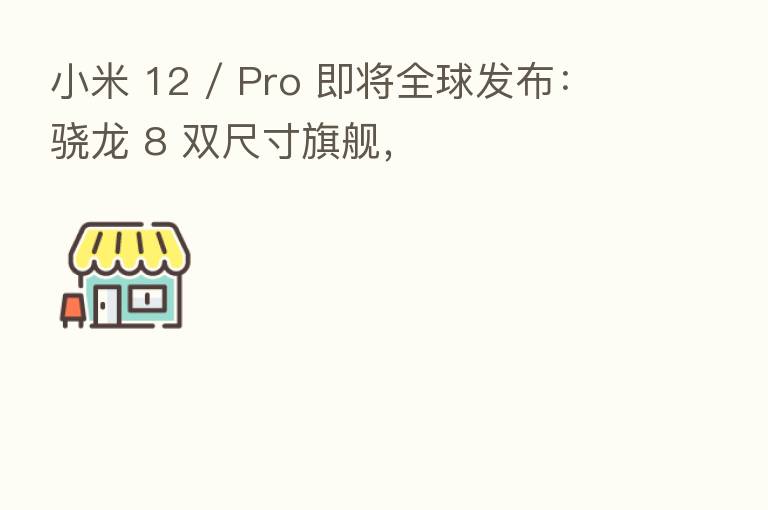小米 12 / Pro 即将全球发布:骁龙 8 双尺寸旗舰,