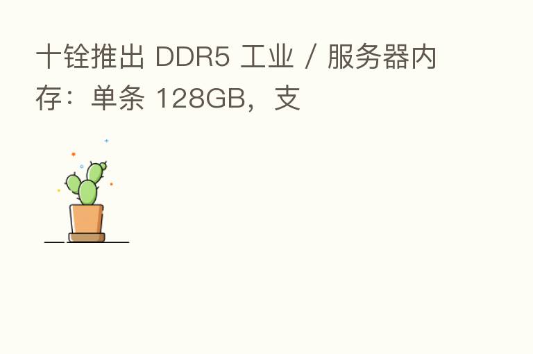 十铨推出 DDR5 工业 / 服务器内存:单条 128GB,支