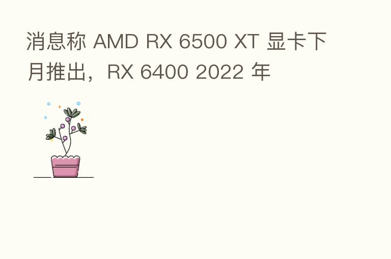 消息称 AMD RX 6500 XT 显卡下月推出,RX 6400 2022 年